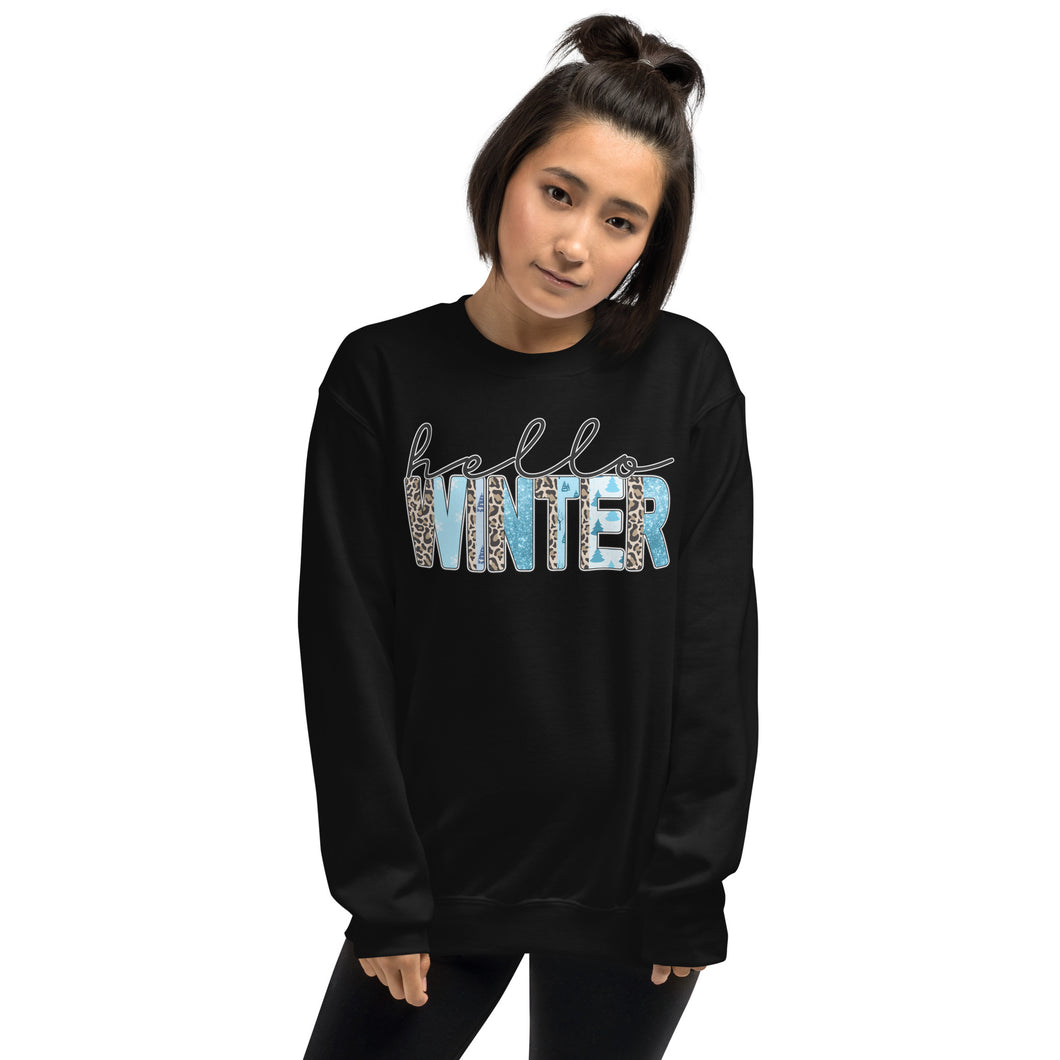 Hello Winter Unisex Sweatshirt