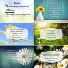 Load image into Gallery viewer, Scripture Card Sets - Classic Version Individual Sets
