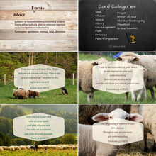 Load image into Gallery viewer, Scripture Card Sets - Classic Version Individual Sets
