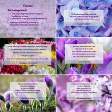 Load image into Gallery viewer, Scripture Card Sets - Classic Version Individual Sets
