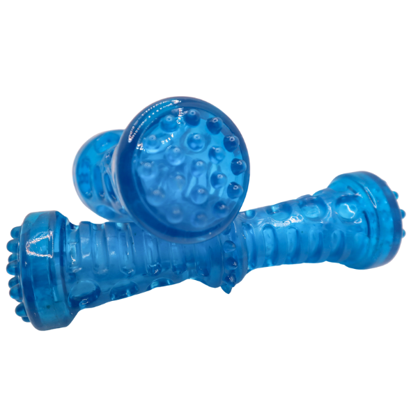 Blue squeaky shop dog toy