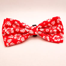 Load image into Gallery viewer, Summer Fun Collar Accessories - Flowers and Bow Ties
