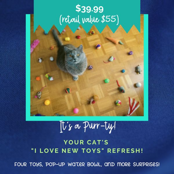 Cat Toy Box Refresh Mystery Bundle