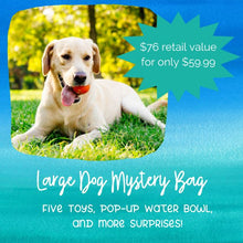 Load image into Gallery viewer, Dog Toy Box Refresh Mystery Bundle
