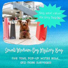 Load image into Gallery viewer, Dog Toy Box Refresh Mystery Bundle
